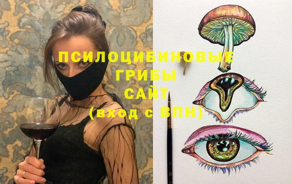 прущий лед Верея