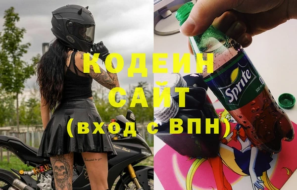 прущие грибы Бугульма