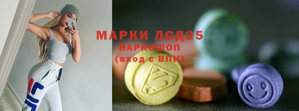 прущий лед Верея