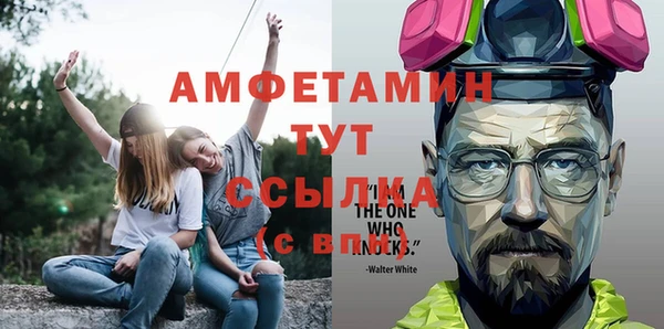 молекула духа Бронницы