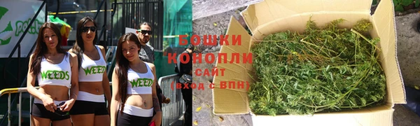 молекула духа Верхний Тагил