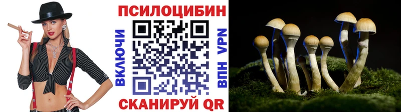 Псилоцибиновые грибы прущие грибы  где можно купить   Улан-Удэ 